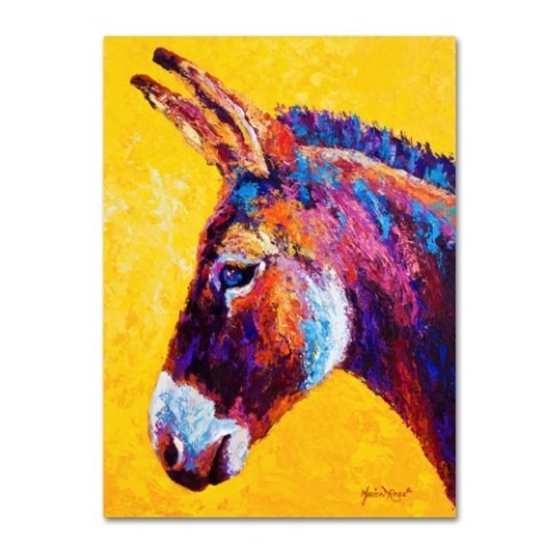 Trademark Fine Art Marion Rose 'Donkey Portrait III' Canvas Art, 14x19 ALI10562-C1419GG